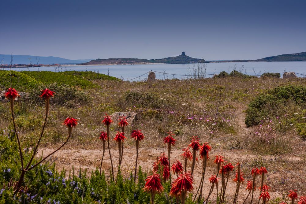 Sardinien