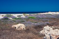 Sardinien