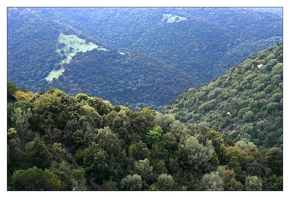 Sardinien