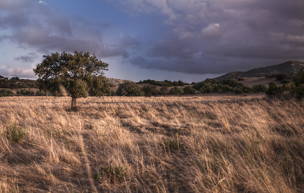 Sardinien