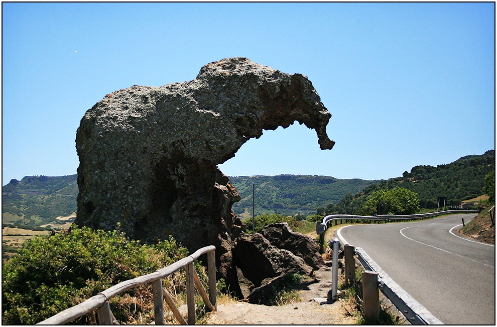Sardinien - Da wollte doch wirklich dieser Elefant über die Strasse,....