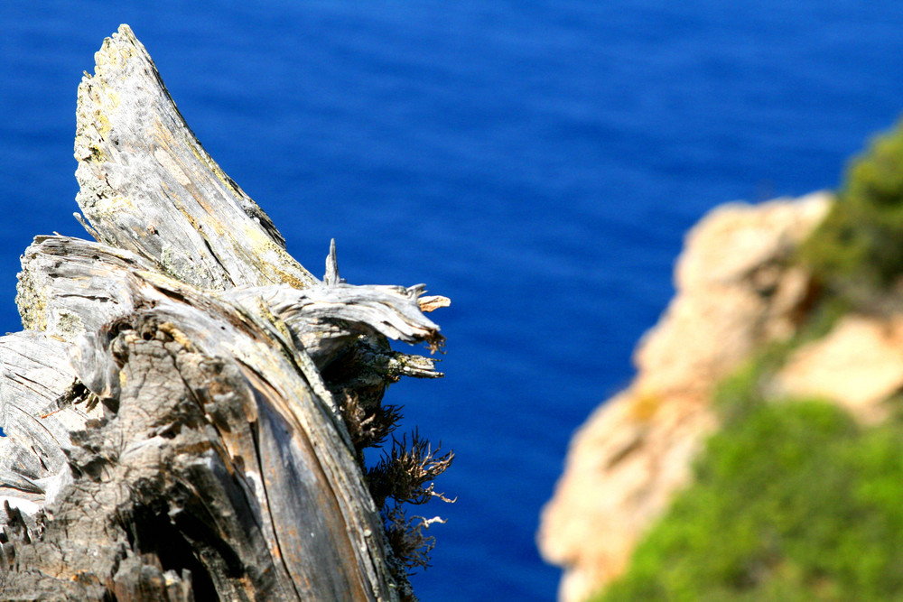 Sardinien