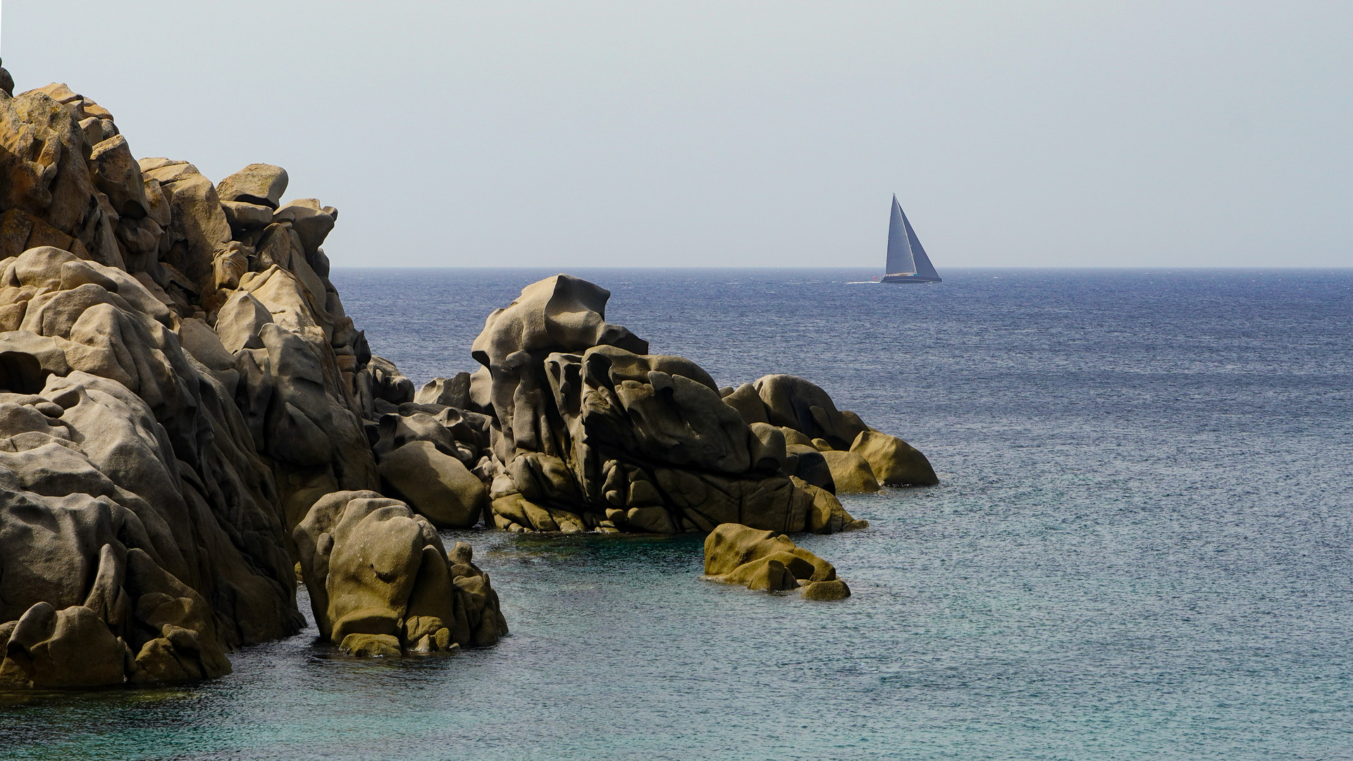 Sardinien - der graue Segler