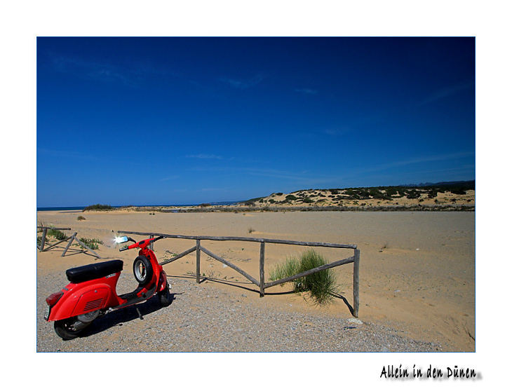 Sardinien im Frühling