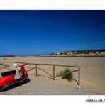 Sardinien im Frühling