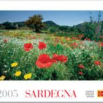 Sardinien im Frühling