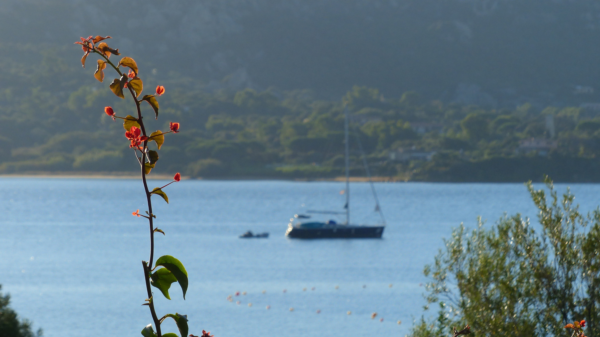 Sardinien im Ort Cannigione ( morgens um 7:22 Uhr )