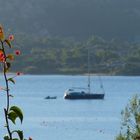 Sardinien im Ort Cannigione ( morgens um 7:22 Uhr )