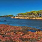 Sardinien - Italien