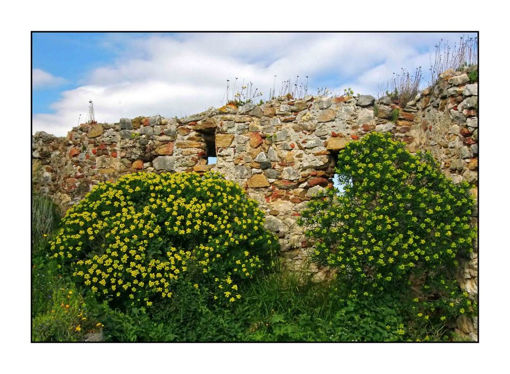 Sardinien Landschaftsimpressionen 5