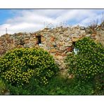 Sardinien Landschaftsimpressionen 5