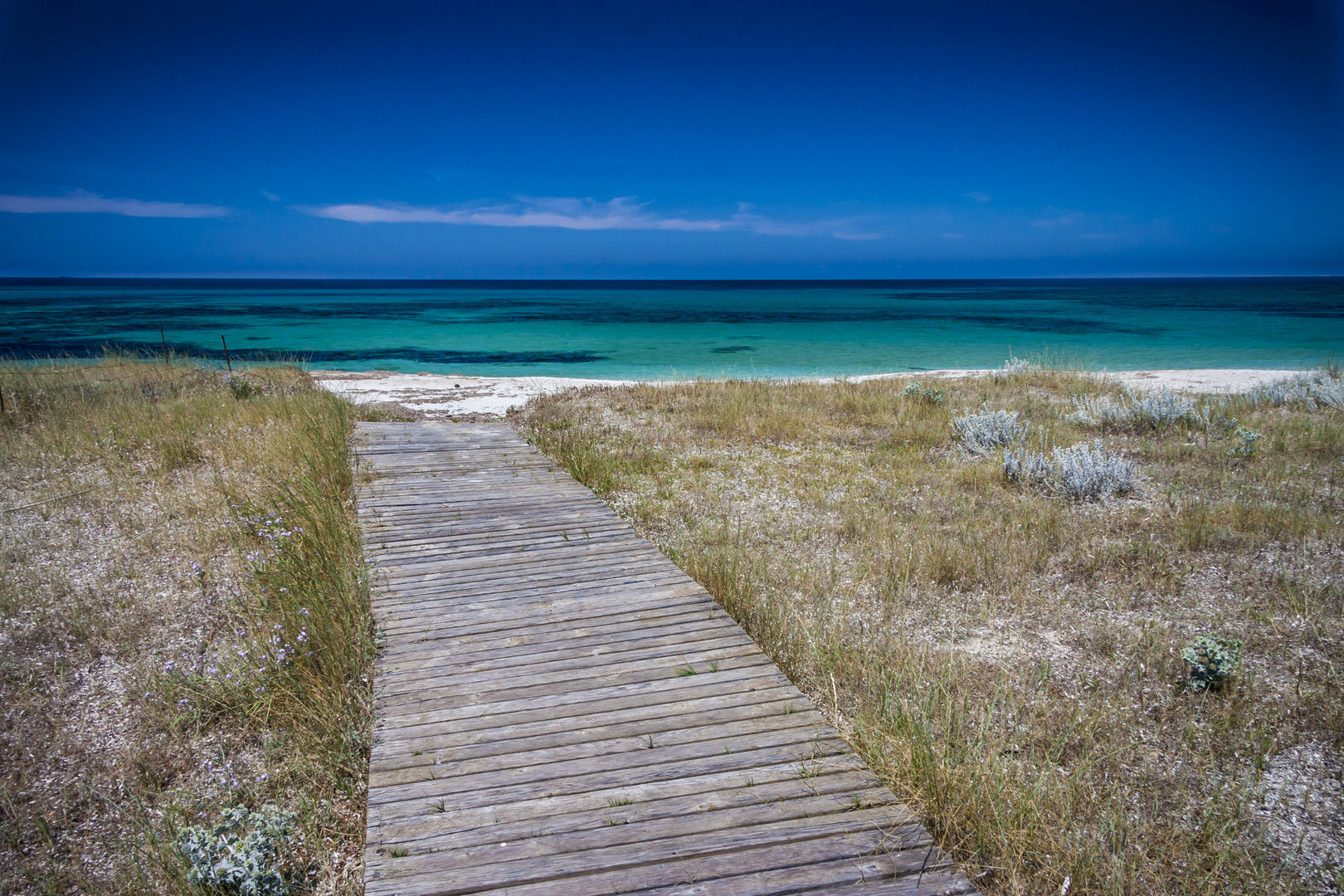 Sardinien, Maimoni