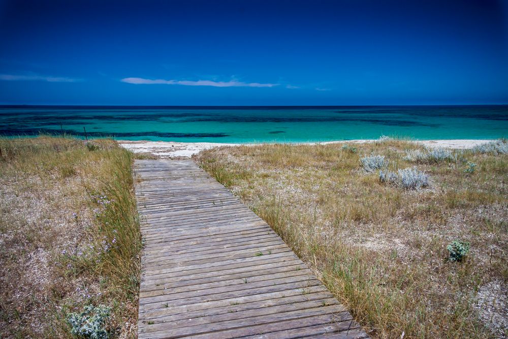 Sardinien, Maimoni