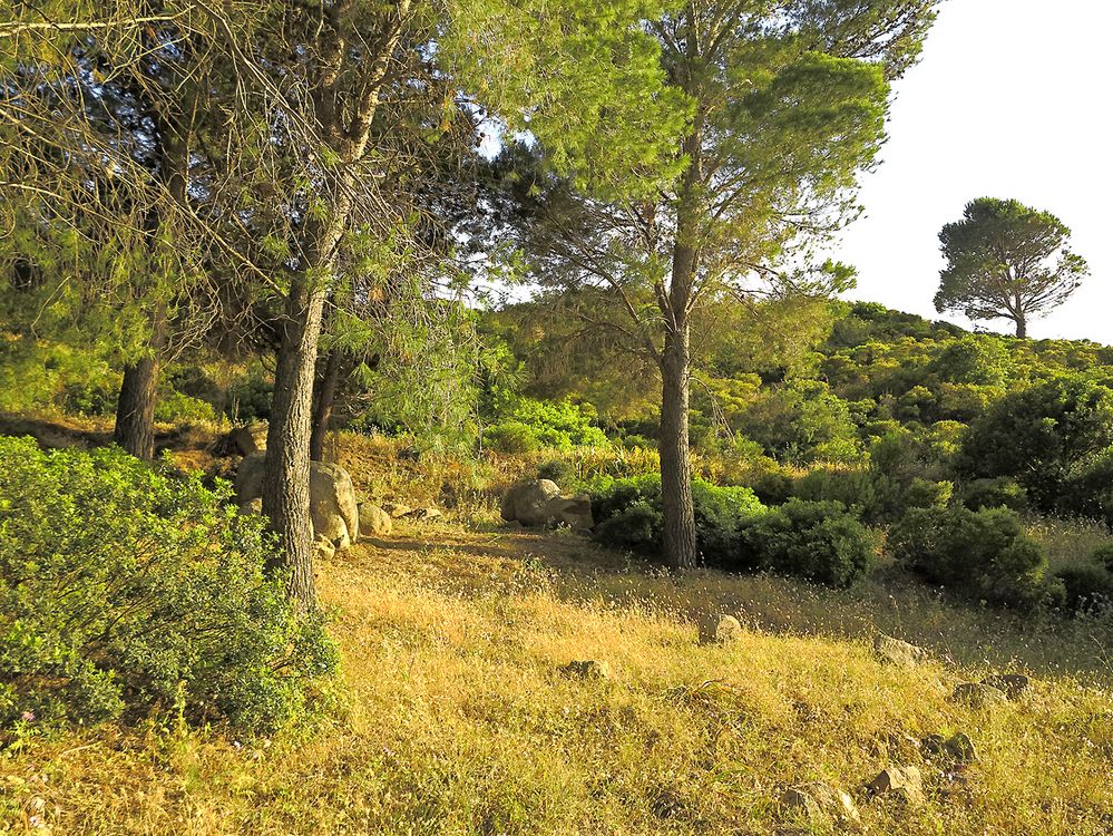 Sardinien / Sardegna (10)