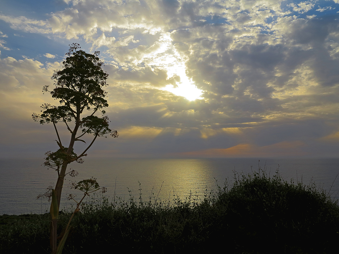 Sardinien / Sardegna (100)