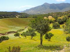 Sardinien / Sardegna (11)