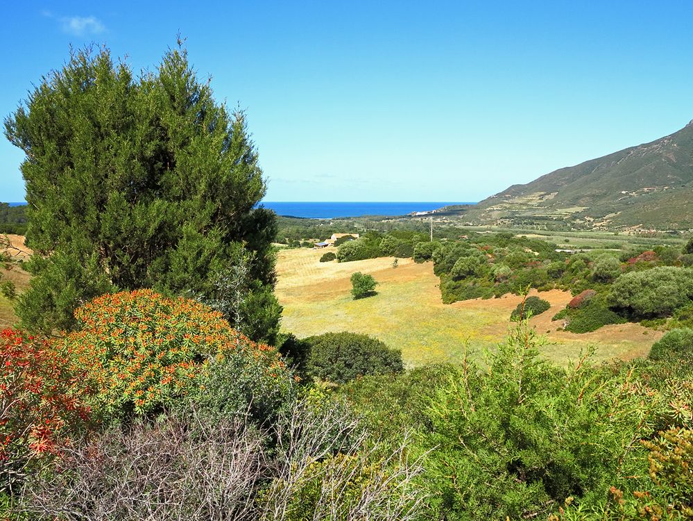 Sardinien / Sardegna (12)