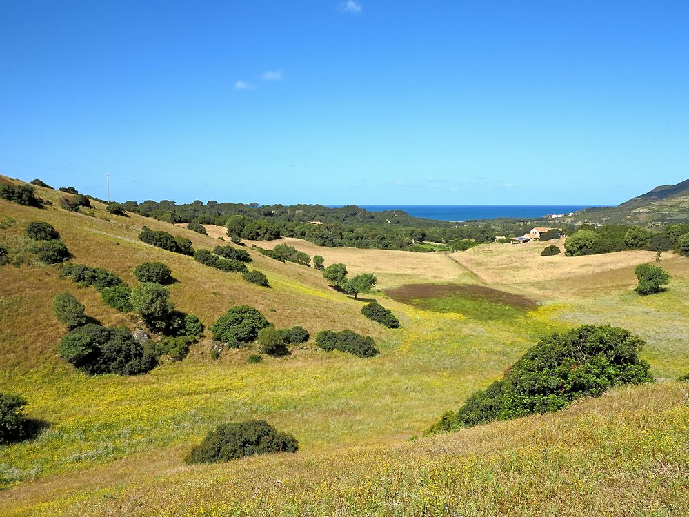 Sardinien / Sardegna (13)