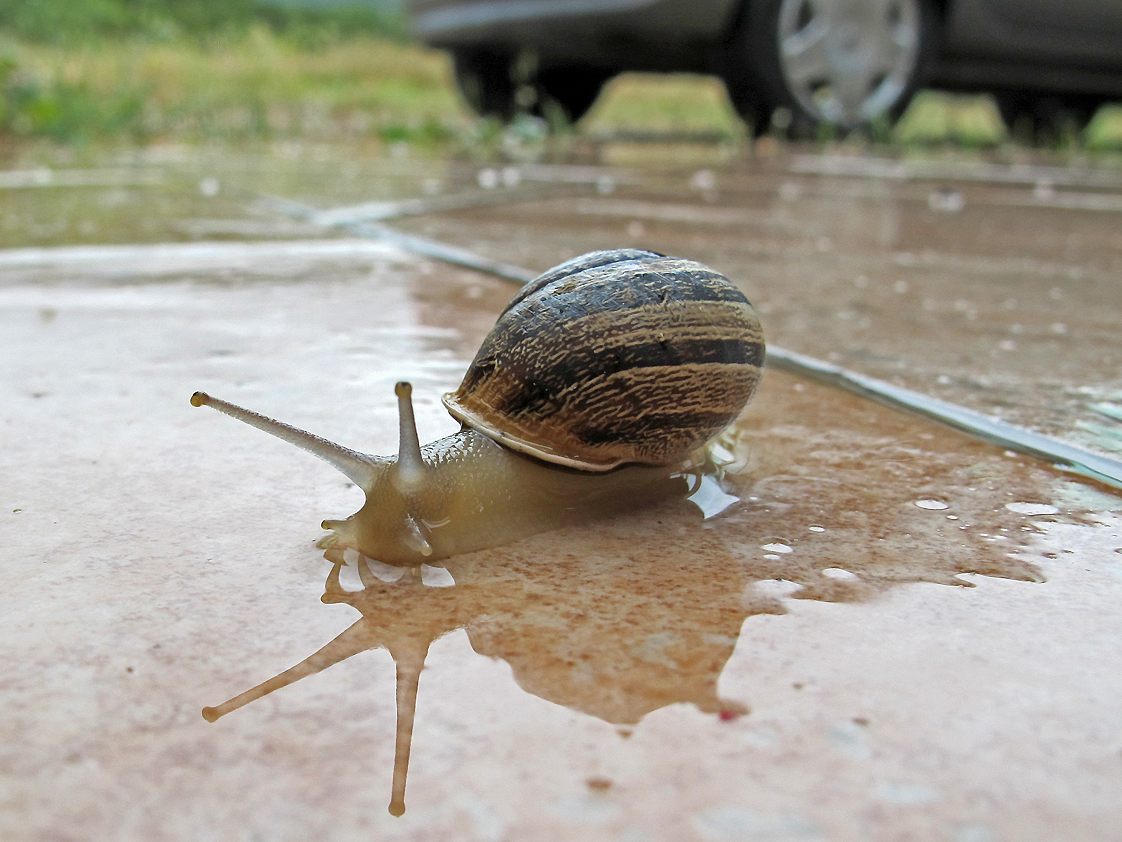 Sardinien / Sardegna   (24)