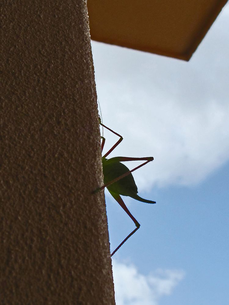 Sardinien / Sardegna (36)