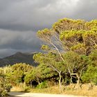 Sardinien / Sardegna (49)