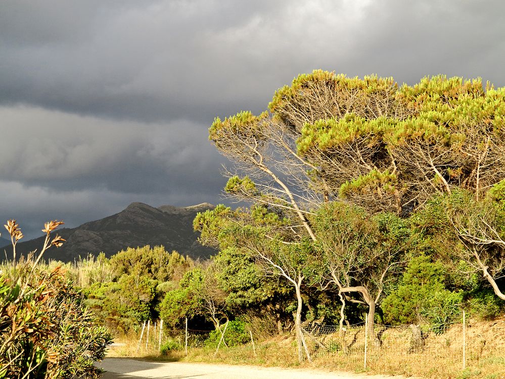 Sardinien / Sardegna (49)