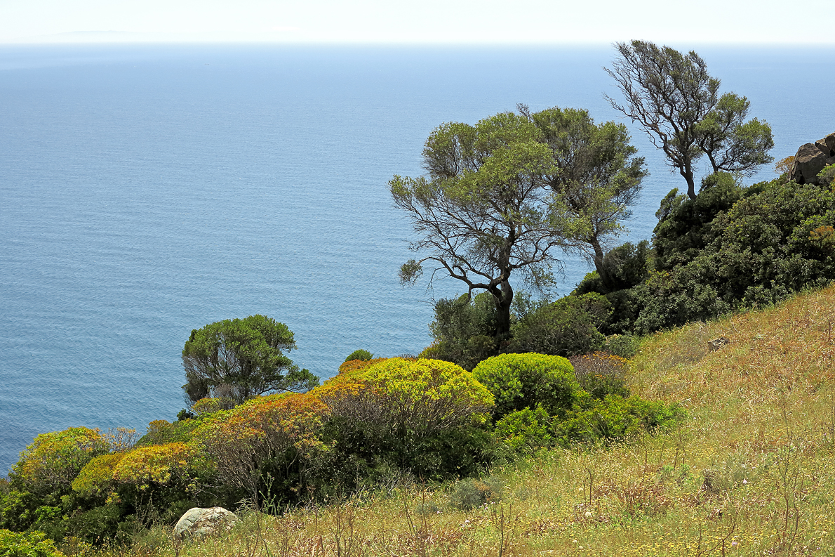 Sardinien / Sardegna (51)