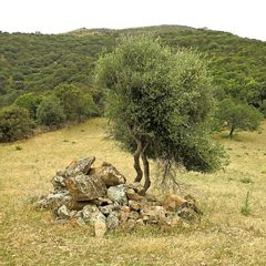 Sardinien / Sardegna (52)