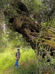 Sardinien / Sardegna (59)