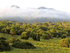 Sardinien / Sardegna (95)