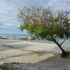 Sardinien - Strand