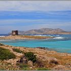 Sardinien - Torre Pelosa aud Halbinsel Stintino