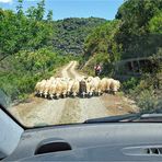 Sardinien - Unterwegs auf Eselspfaden