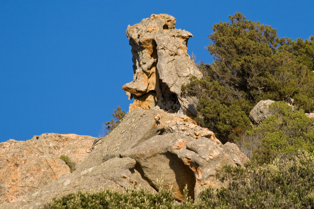 Sardinien - Versteinertes Moorhuhn