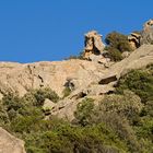 Sardinien - Wenn da mal kein Moorhuhn versteckt ist!