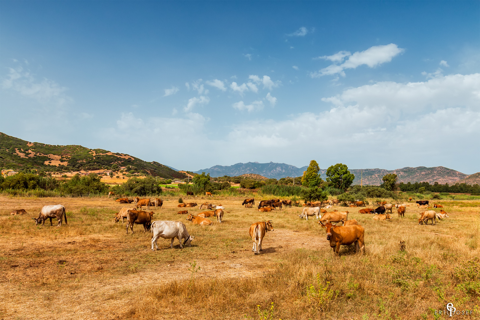 Sardinien0012