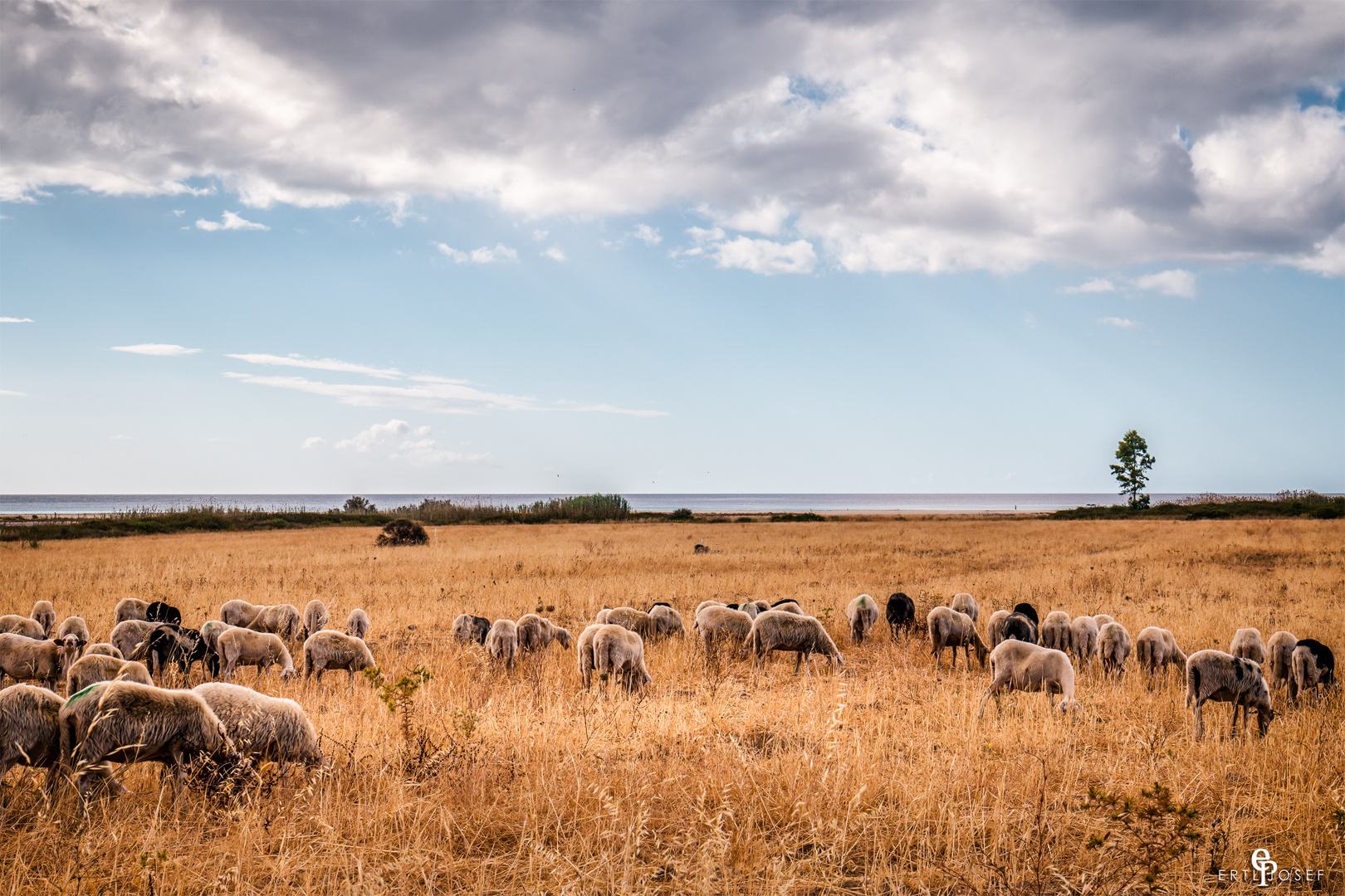 Sardinien0022