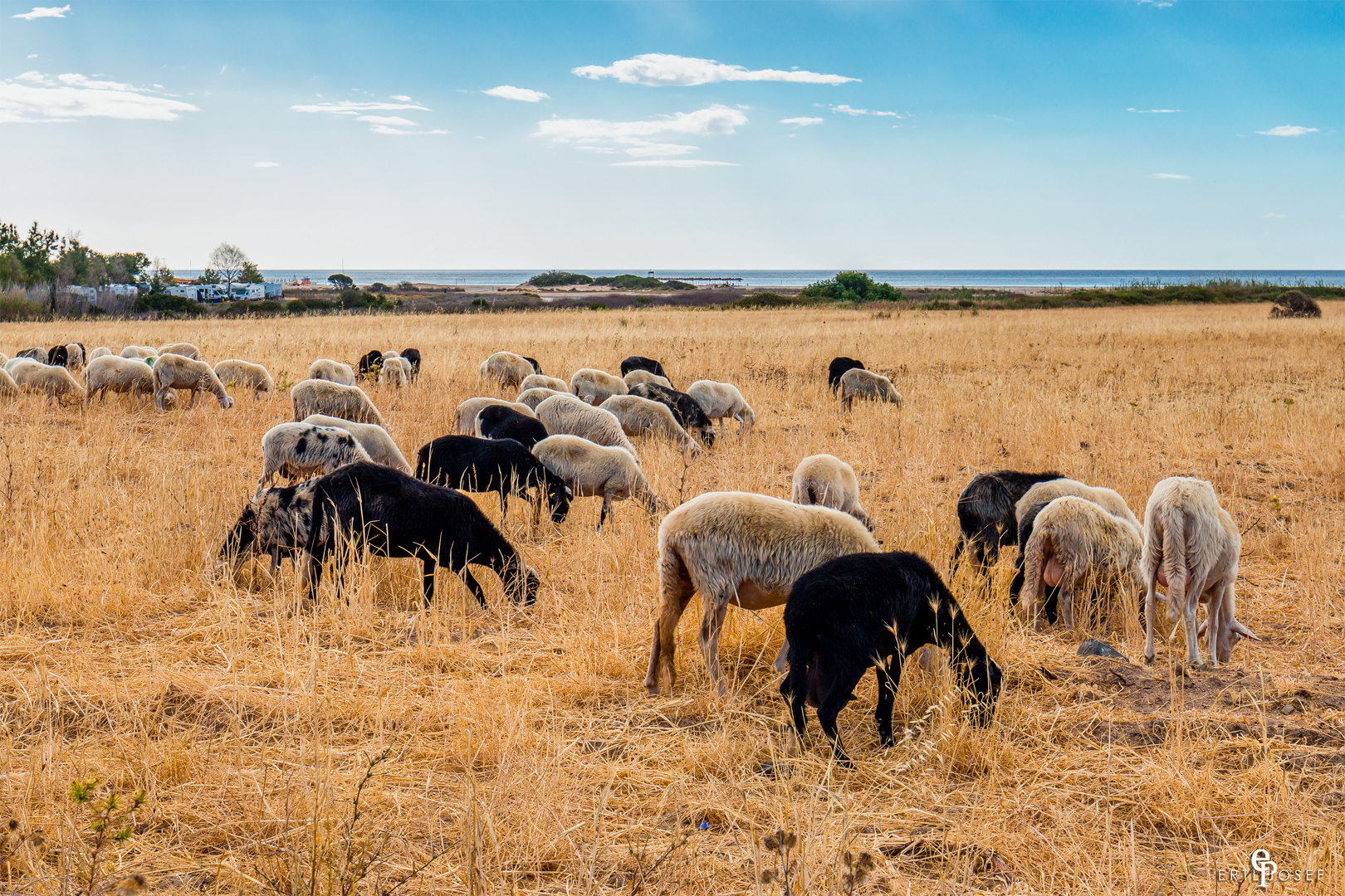 Sardinien0024