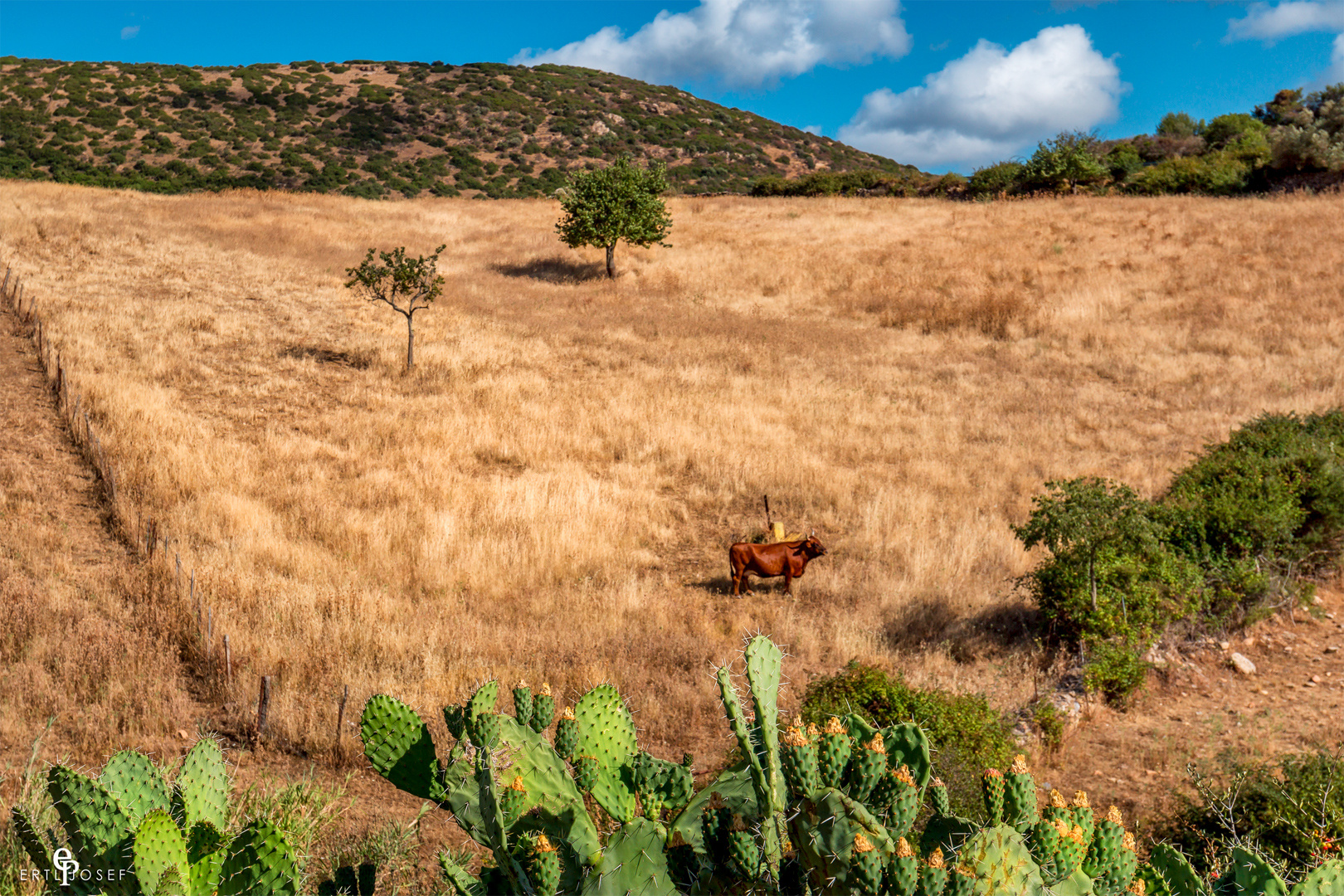 Sardinien0041