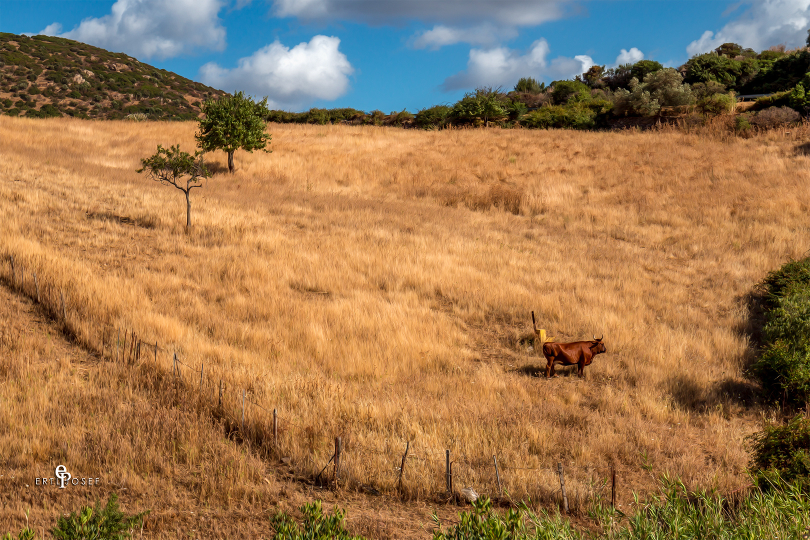 Sardinien0042