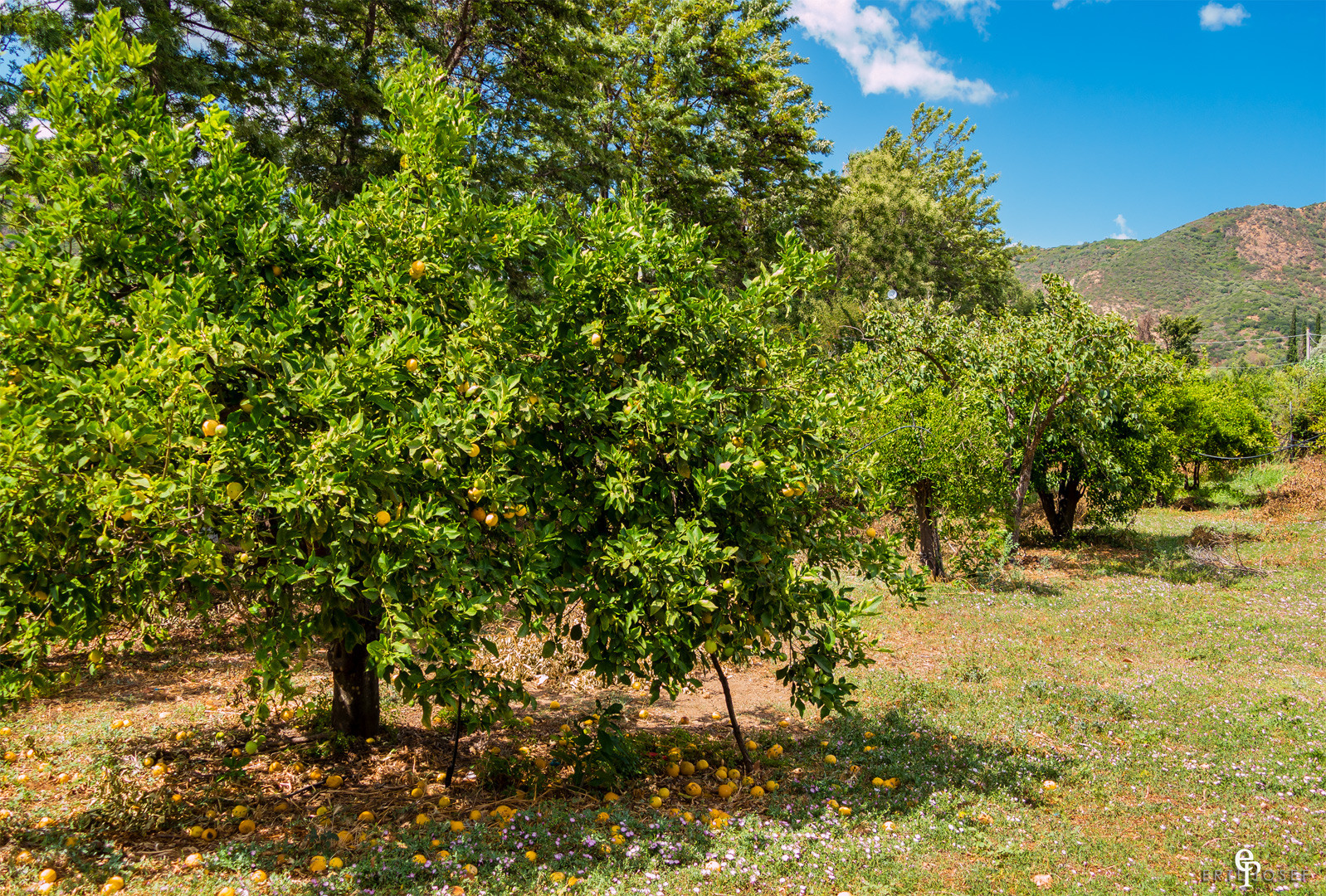 Sardinien0064