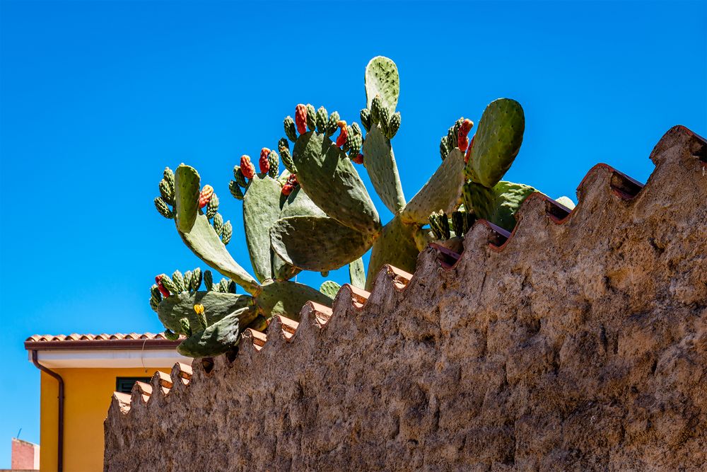 Sardinien0315