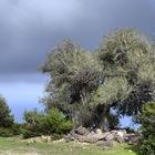 Sardinien_1