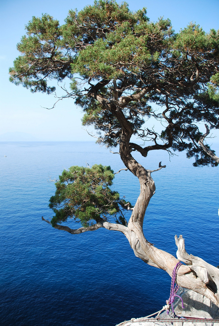 Sardinien_Abseilpunkt mit Ausblick auf's Meer