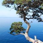 Sardinien_Abseilpunkt mit Ausblick auf's Meer