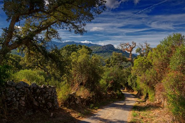 Sardische Landschaft