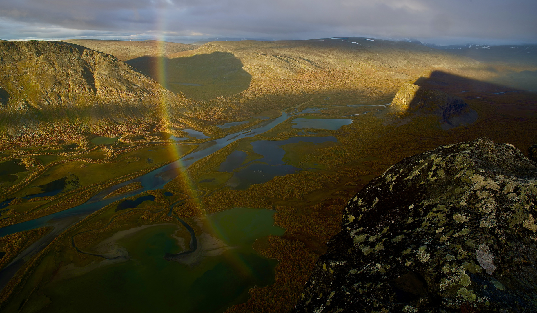 Sarek