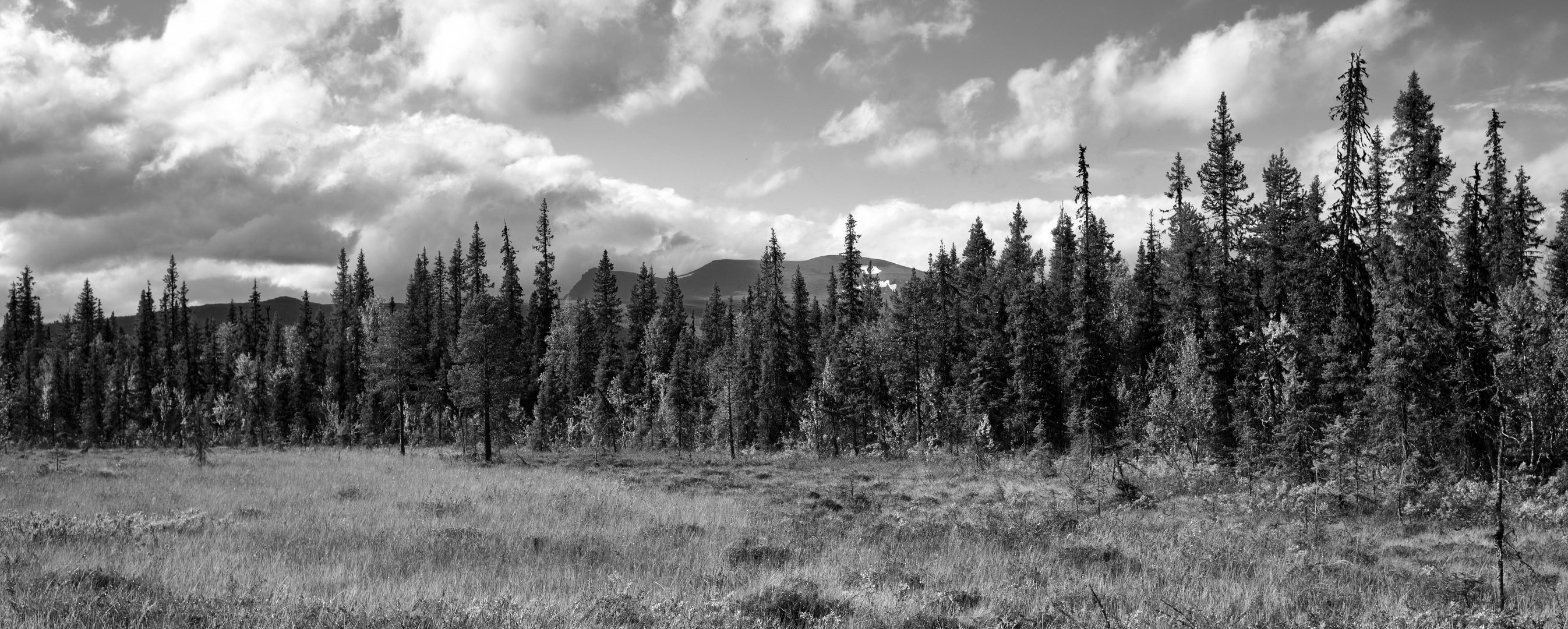 Sarek - Nationalpark