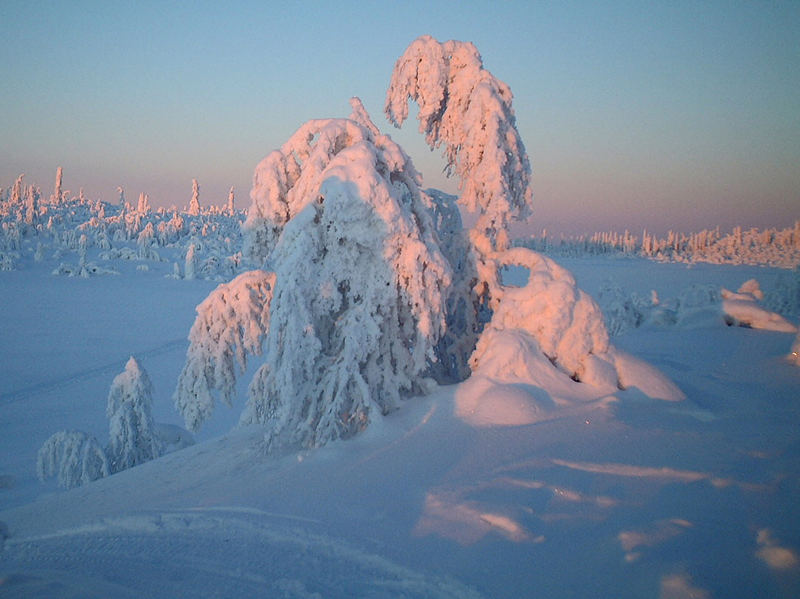 Sarek Nationalpark in Schwedisch-Lappland