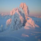 Sarek Nationalpark in Schwedisch-Lappland